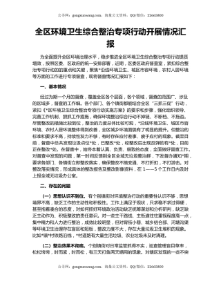 全区环境卫生综合整治专项行动开展情况汇报