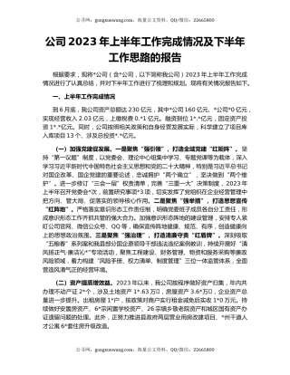 公司2023年上半年工作完成情况及下半年工作思路的报告
