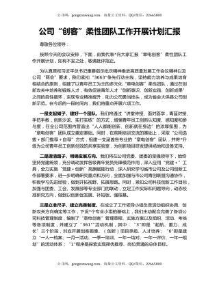 公司“创客”柔性团队工作开展计划汇报