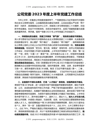 公司党委2023年度上半年党建工作总结