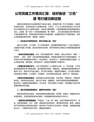 公司党建工作情况汇报：绘好奋进“三色”谱 笃行建功新征程