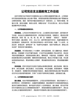 公司党总支主题教育工作总结