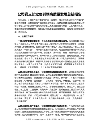 公司党支部党建引领高质量发展总结报告