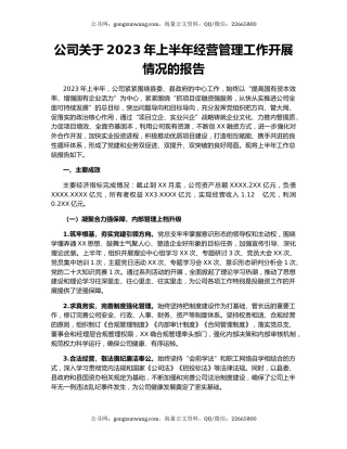 公司关于2023年上半年经营管理工作开展情况的报告