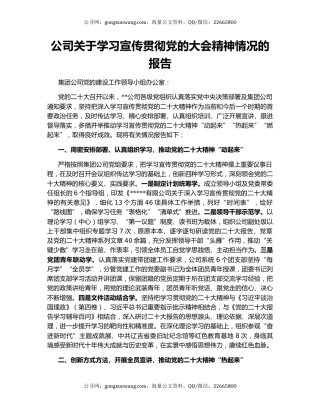 公司关于学习宣传贯彻党的大会精神情况的报告