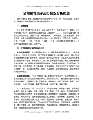 公司领导班子运行情况分析报告