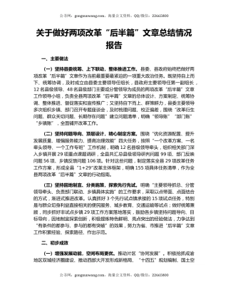 关于做好两项改革“后半篇”文章总结情况报告