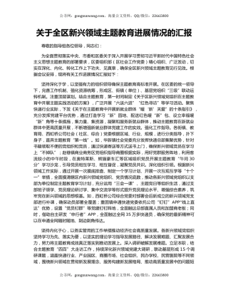 关于全区新兴领域主题教育进展情况的汇报