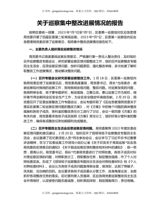关于巡察集中整改进展情况的报告