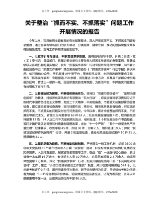 关于整治“抓而不实、不抓落实”问题工作开展情况的报告