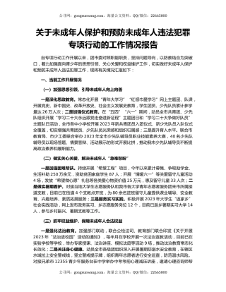 关于未成年人保护和预防未成年人违法犯罪专项行动的工作情况报告