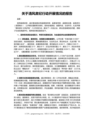 关于清风肃纪行动开展情况的报告