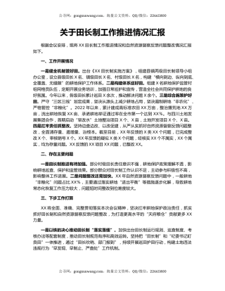 关于田长制工作推进情况汇报