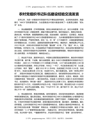 农村党组织书记队伍建设经验交流发言