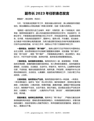 副市长2023年任职表态发言