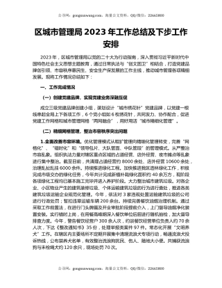 区城市管理局2023年工作总结及下步工作安排