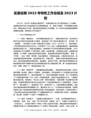 区委巡察2022年特色工作总结及2023计划