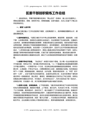 区委干部挂职锻炼工作总结