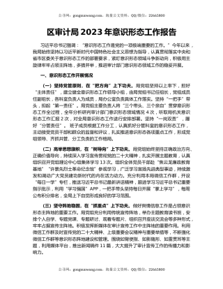 区审计局2023年意识形态工作报告