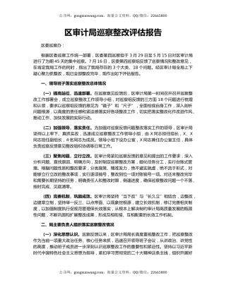 区审计局巡察整改评估报告