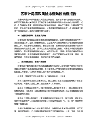 区审计局廉政风险排查防控自查报告