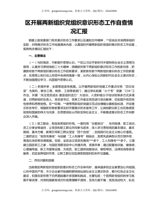 区开展两新组织党组织意识形态工作自查情况汇报