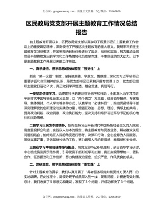 区民政局党支部开展主题教育工作情况总结报告
