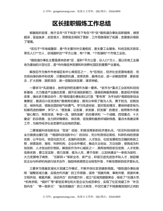 区长挂职锻炼工作总结