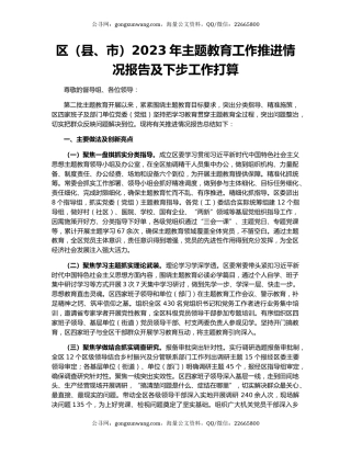 区（县、市）2023年主题教育工作推进情况报告及下步工作打算