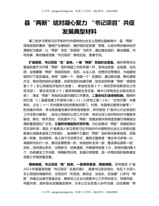 县“两新”结对凝心聚力 “书记项目”共促发展典型材料