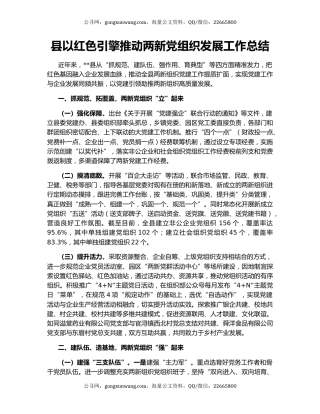 县以红色引擎推动两新党组织发展工作总结