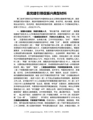 县党建引领促振兴典型材料