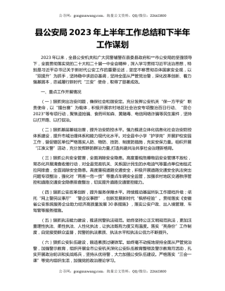 县公安局2023年上半年工作总结和下半年工作谋划