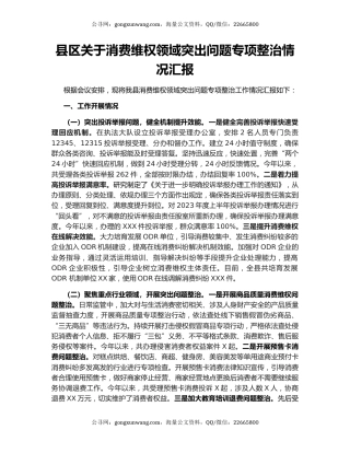 县区关于消费维权领域突出问题专项整治情况汇报