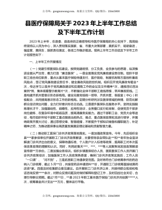 县医疗保障局关于2023年上半年工作总结及下半年工作计划