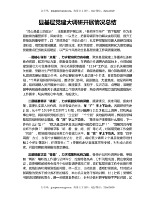 县基层党建大调研开展情况总结