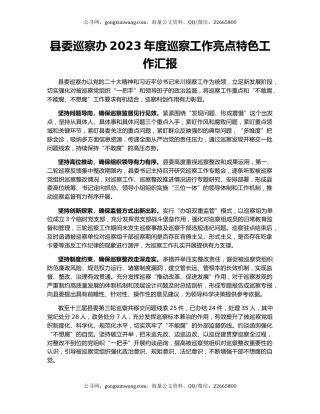 县委巡察办2023年度巡察工作亮点特色工作汇报