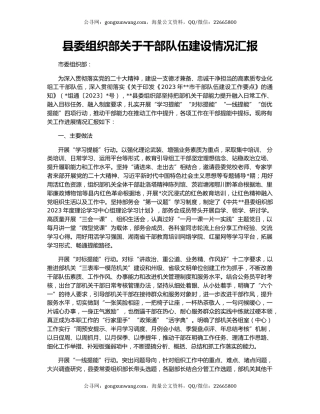 县委组织部关于干部队伍建设情况汇报