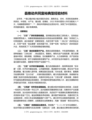 县推动共同富裕典型经验材料