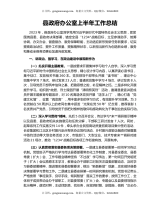 县政府办公室上半年工作总结