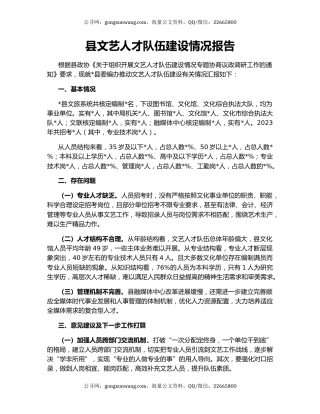 县文艺人才队伍建设情况报告