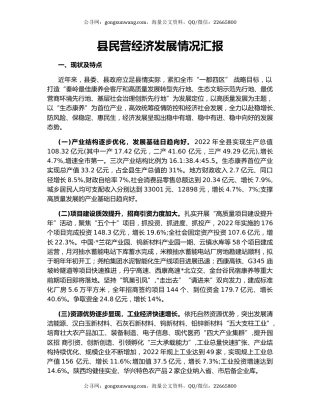 县民营经济发展情况汇报