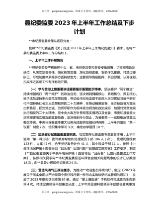 县纪委监委2023年上半年工作总结及下步计划