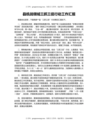 县统战领域三抓三促行动工作汇报