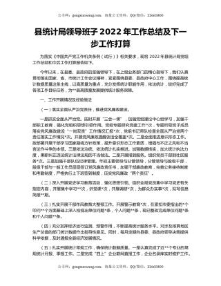 县统计局领导班子2022年工作总结及下一步工作打算