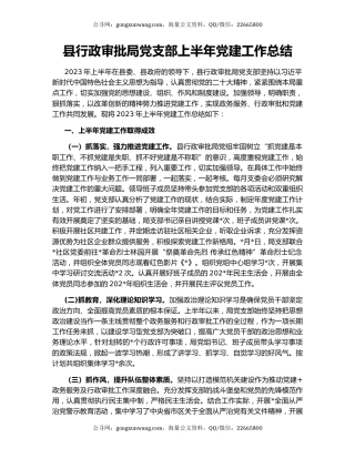 县行政审批局党支部上半年党建工作总结