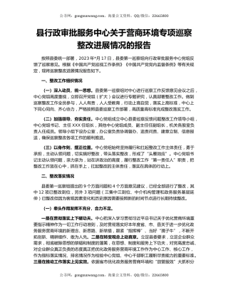 县行政审批服务中心关于营商环境专项巡察整改进展情况的报告