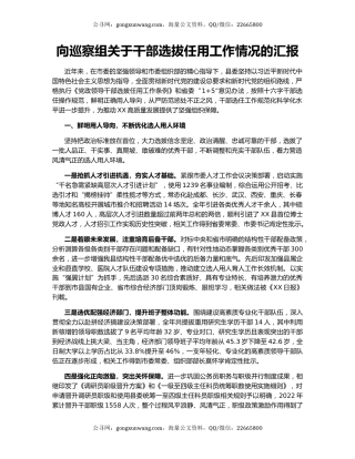 向巡察组关于干部选拔任用工作情况的汇报