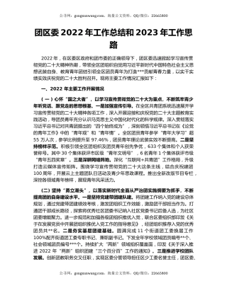 团区委2022年工作总结和2023年工作思路