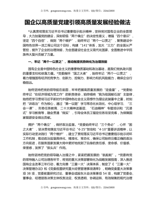 国企以高质量党建引领高质量发展经验做法